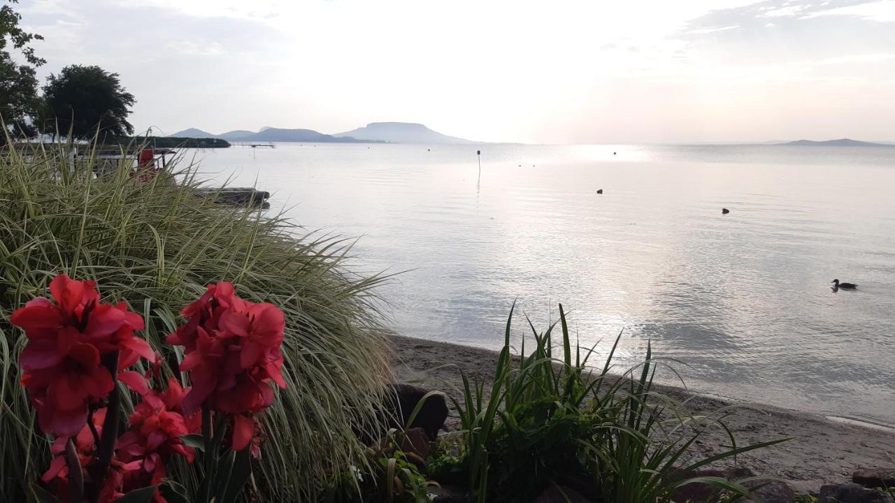 Szalakota Haz Villa บาลาตองโยรอค ภายนอก รูปภาพ