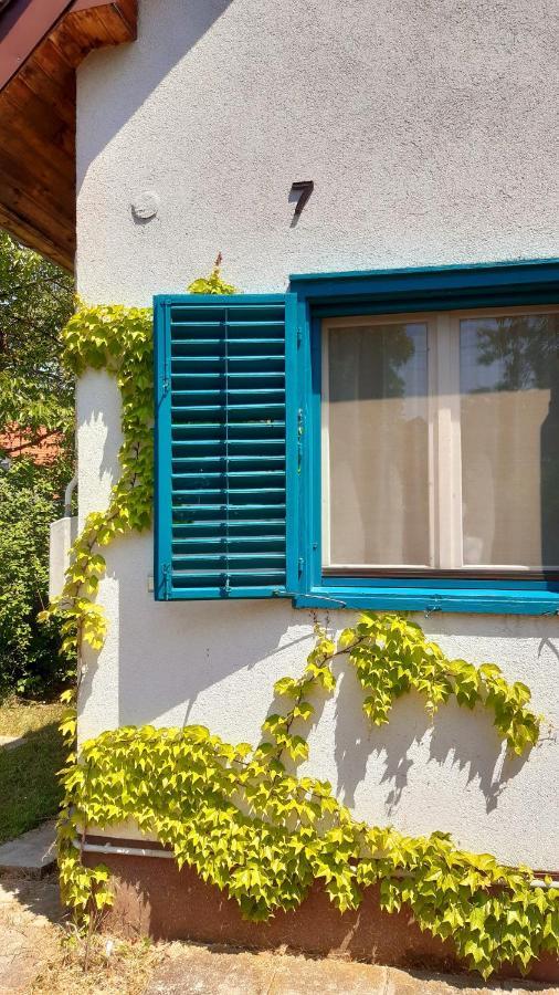 Szalakota Haz Villa บาลาตองโยรอค ภายนอก รูปภาพ