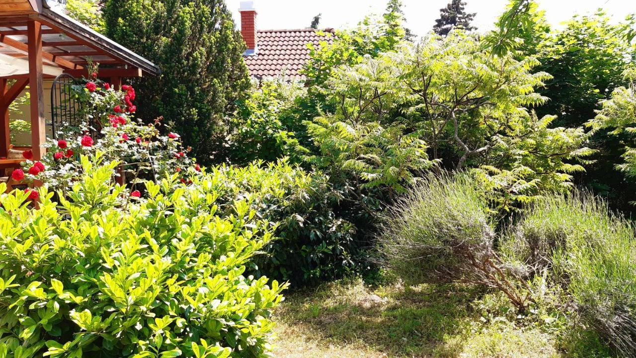 Szalakota Haz Villa บาลาตองโยรอค ภายนอก รูปภาพ