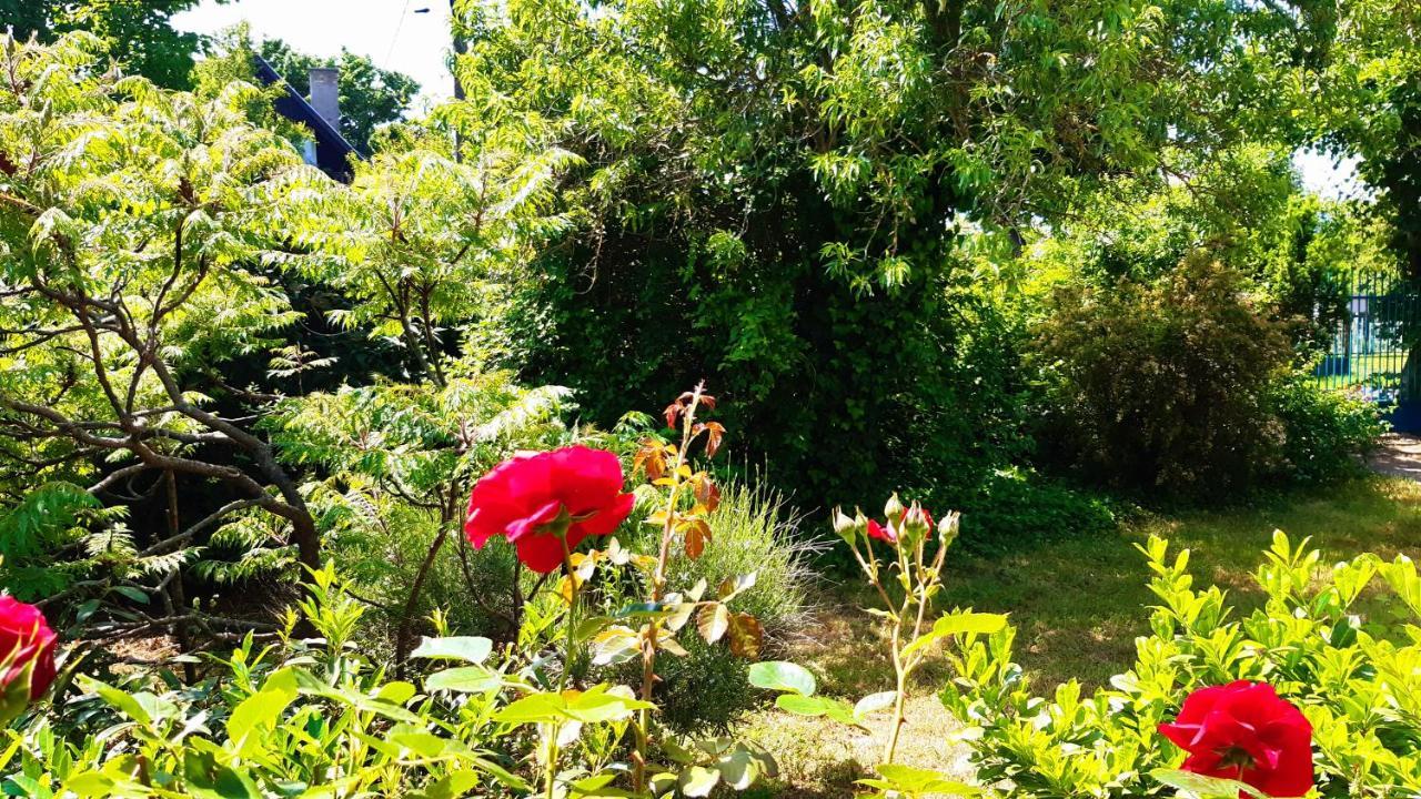 Szalakota Haz Villa บาลาตองโยรอค ภายนอก รูปภาพ